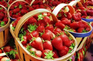 strawberry-festival-pic
